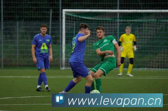 广东新闻频道独家直播：粤港澳大湾区马拉松赛实况